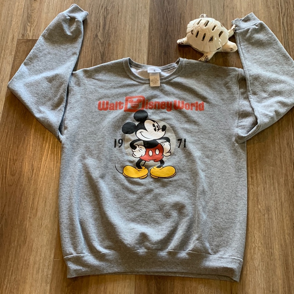 Disney Unisex gray sweatshirt fleece lined